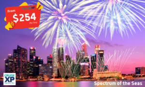 11-Days Singapore New Years Eve & Islands Hopping Fly and Cruise Package
