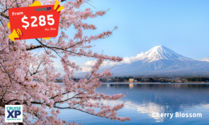 2022 /23 Beautiful Japan with Kyushu 14 Day Fly & Tour Holiday