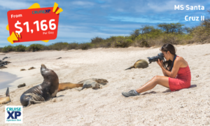 7-Days Galápagos Islands Expedition Cruise – Iconic Wildlife & Sublime Scenery